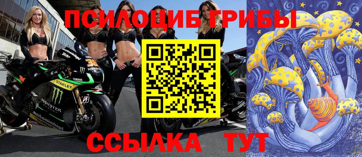 Псилоцибиновые грибы Magic Shrooms  купить наркотик  Алатырь  Псилоцибиновые грибы мухоморы  Вход с VPN 